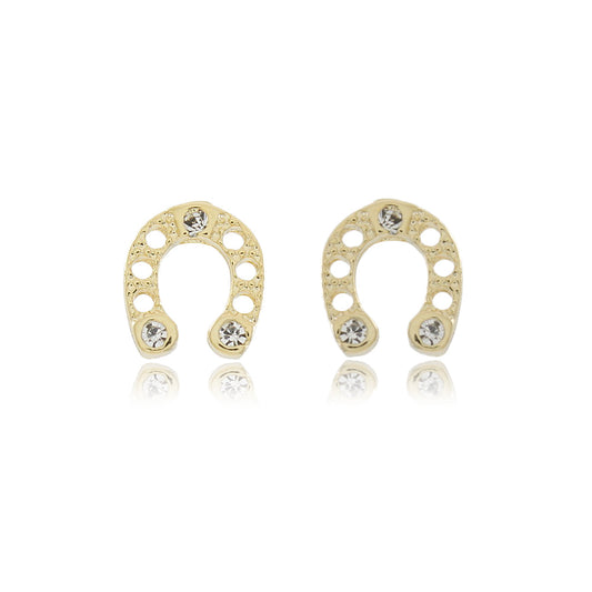 36528 - Earring