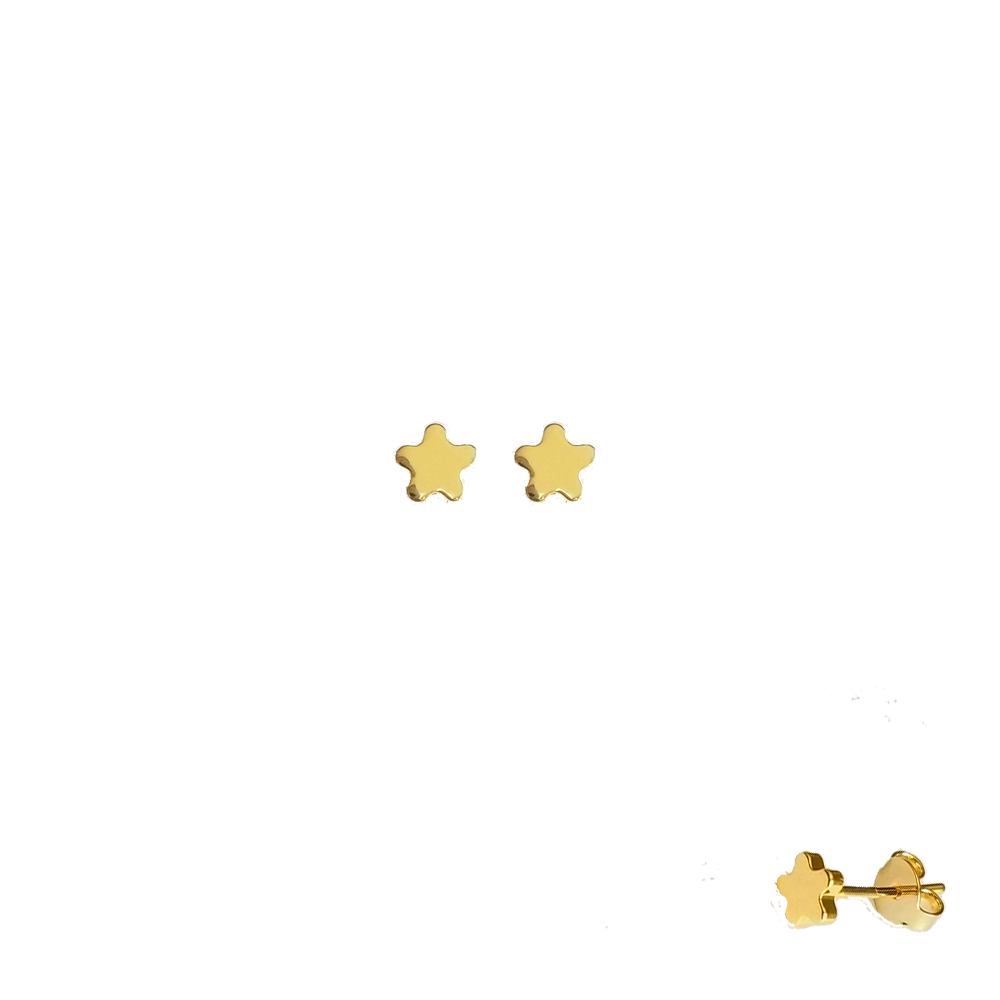 36562 28K Gold Layered Earring