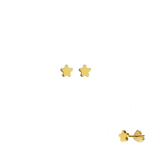 36562 28K Gold Layered Earring